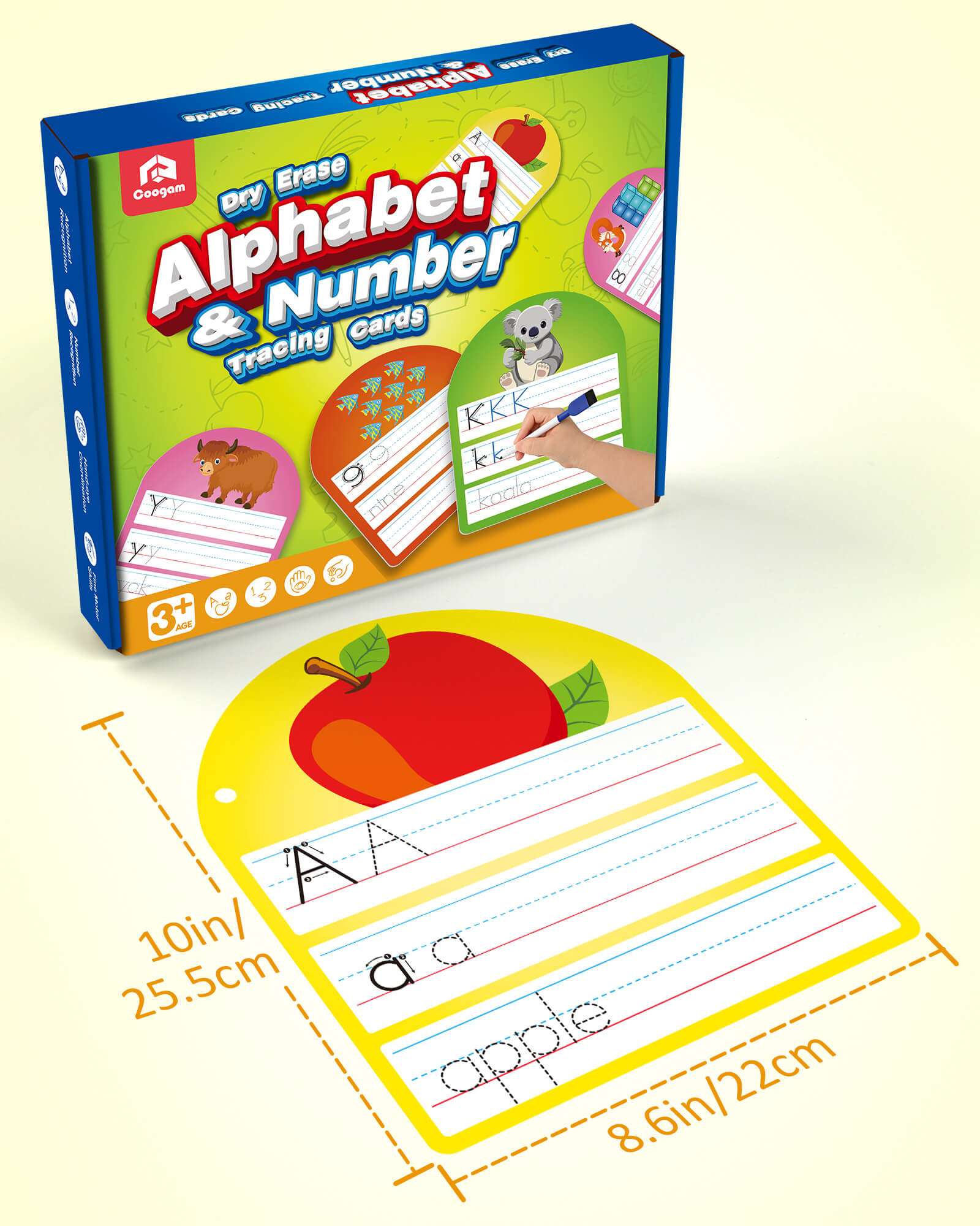 Double Abc Double Sided Dry Erase ABC Letter Tracing Cards – Coogam