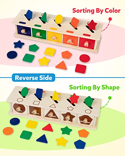 Wooden Color Shape Sorting Box Game – Coogam