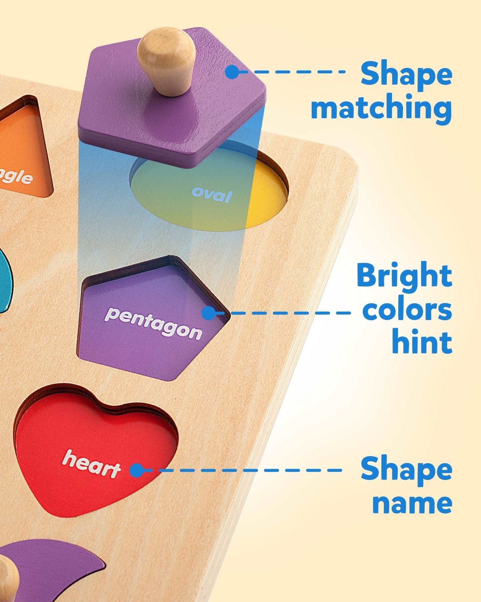 Wooden Shape Color Matching Puzzle – Coogam